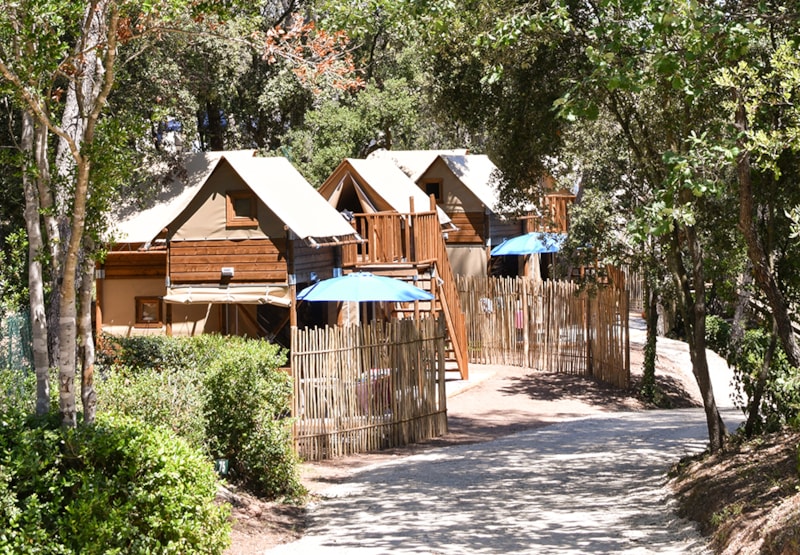 MAXI BOOMHUT- 30m² - buitengewone accommodatie