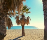 Foto #73 van Camping La Pierre Verte