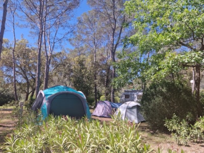 CLASSIQUE Pitch TENT with electricity 6A — 6