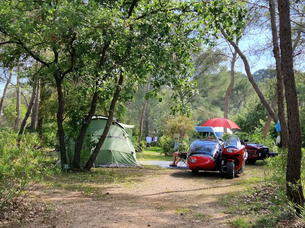 Pitch Tent Confort + Electricity 10A + Water Point + Wastewater Connection