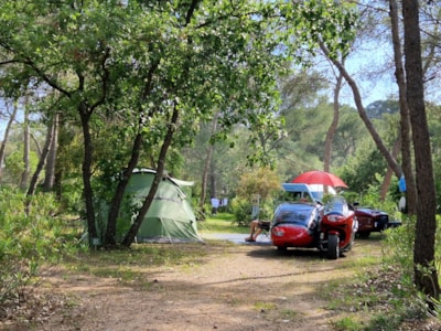 Pitch TENT CONFORT + electricity 10A + water point + wastewater connection — 1