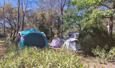 Pitch TENT CONFORT + electricity 10A + water point + wastewater connection — 3