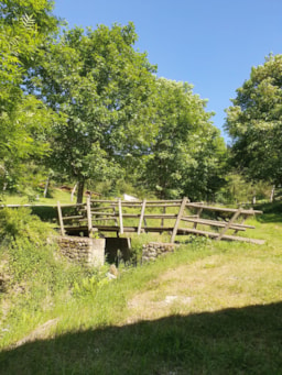 Stellplatz - Stellplatz Pauschale Wanderer Oder Radfahrer Mit Zelt - Camping La Fressange