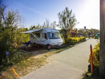 Stellplatz - Stellplatz S + 1 Auto + Stromanschluss - Florenz - Open Air Resort