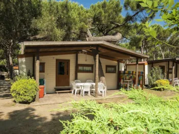 Mietunterkunft - Ferienhaus Donatello - Florenz - Open Air Resort