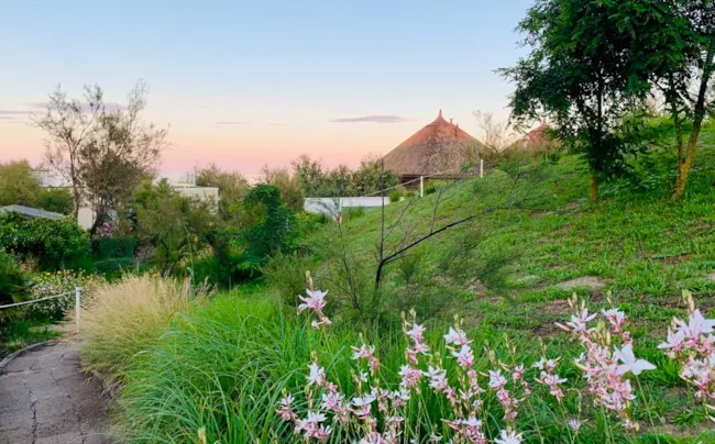 Florenz - Open Air Resort - image n°4 - Camping Direct