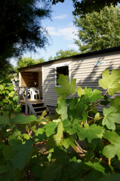 Mobile home O'HARA PANORAMIQUE MODERN ECO-CONCU / 28m2 -2 bedrooms - Half-covered terrace — 2