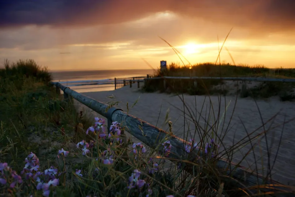 Camping Resort la Forêt