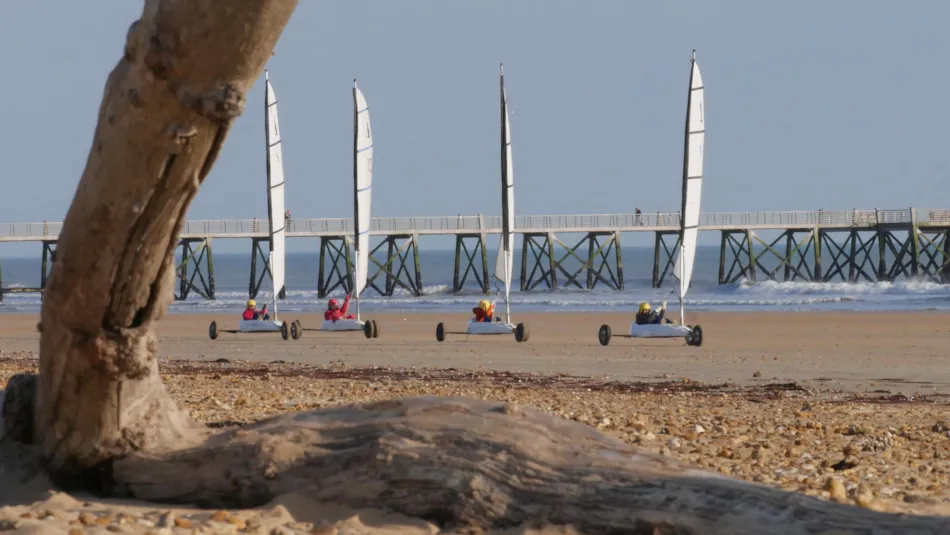 Camping Resort la Forêt
