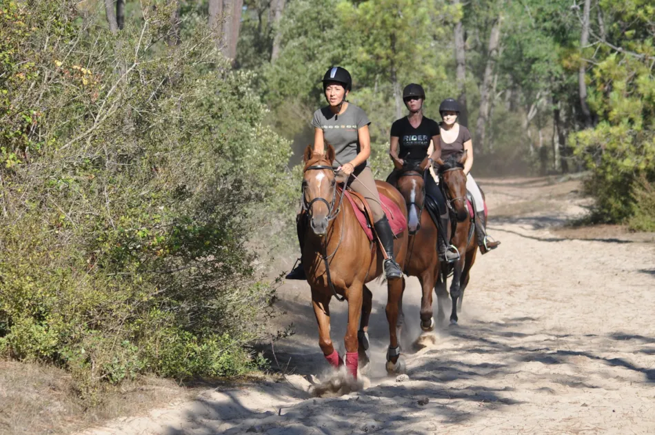 Camping Resort la Forêt
