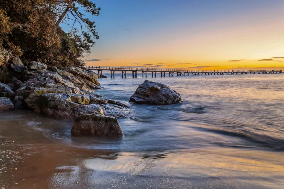 Camping Resort la Forêt