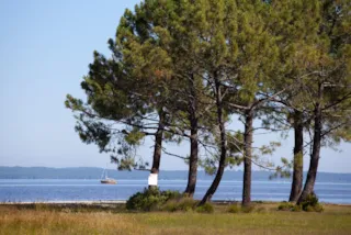  Camping-Mayotte-Vacances Biscarrosse Aquitaine FR