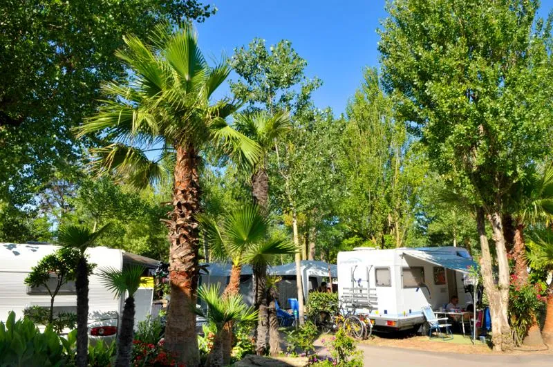 Package Kampeerplaats + 1 auto + tent, caravan of camper +  elektriciteit + water- en afvoerpunt