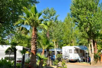 Stellplatz - Stellplatz - Les Méditerranées - Camping Charlemagne