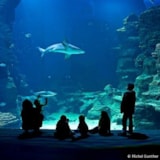 Foto #63 van Les Méditerranées – Camping Charlemagne