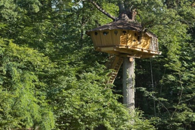 Tree house - 20m²