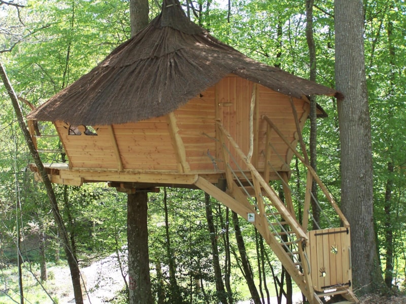 Boomhut - 20m²