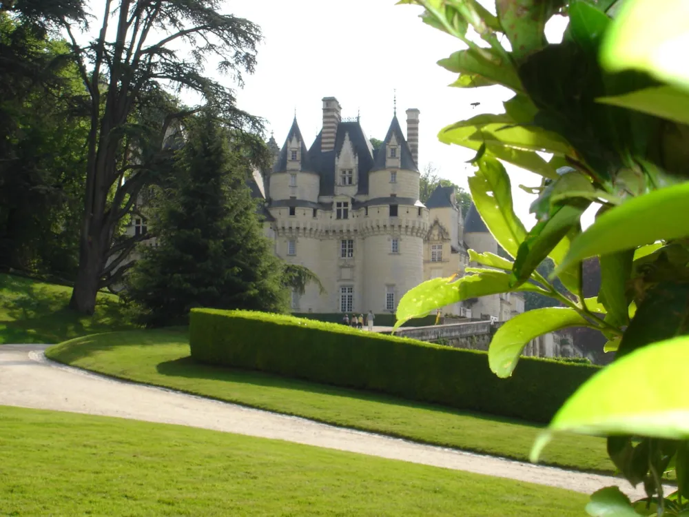 Castel Camping Parc de Fierbois