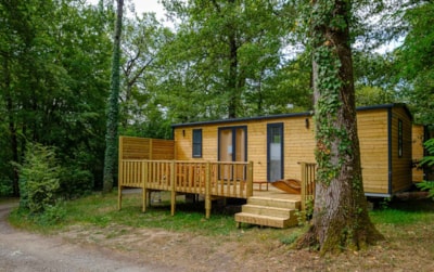 Mobile home - 3 bedrooms - 2 bathrooms - Premium