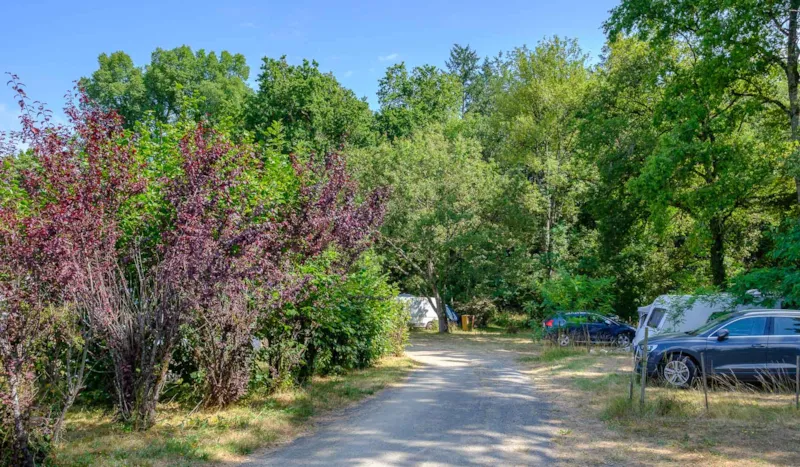 Emplacement Grand Confort - Electricité 16 A - Eau - Evacuation -