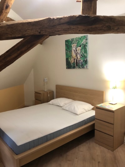 Apartment - 2 bedrooms - 1 bathroom - Le Tilleul -