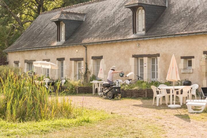 Apartment - 2 bedrooms - 1 bathroom - Le Tilleul -