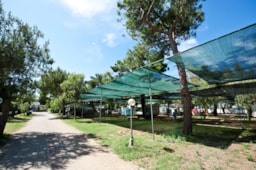 Piazzole - Piazzola - Camping Village Le Diomedee