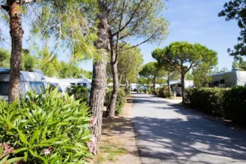 Stellplatz - Forfait Confort Acsi- Anwb- Adac ( 2 Personnes,1 Tente, Caravane Ou Camping Car/1 Voiture/Électrcité 10A) - Camping Neptune