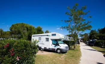 Stellplatz - Stellplatz Privilège (Zelt, Wohnwagen, Wohnmobil / 1 Auto / Strom 10A) + Fließwasser - Camping Neptune
