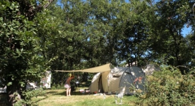 Nature Pitch (place 100m ² : 1 tent or 1 caravan + 1 car or 1 motorhome) — 4
