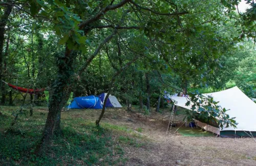 Pitch - Nature Pitch (Place 100M ² : 1 Tent Or 1 Caravan + 1 Car Or 1 Motorhome) - image n°6 - Camping Bel'époque du Pilat