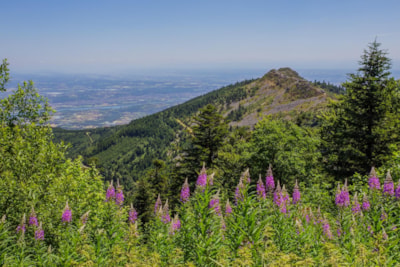 Camping Bel'époque du Pilat