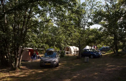Pitch - Premium Pitch With Electricity (Place 100M ² : 1 Tent Or Caravan + 1 Car Or Motorhome) - image n°3 - Camping Bel'époque du Pilat