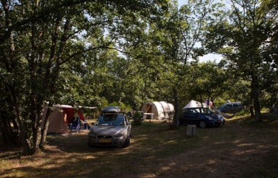 Premium Pitch with electricity (place 100m ² : 1 tent or caravan + 1 car or motorhome) — 3