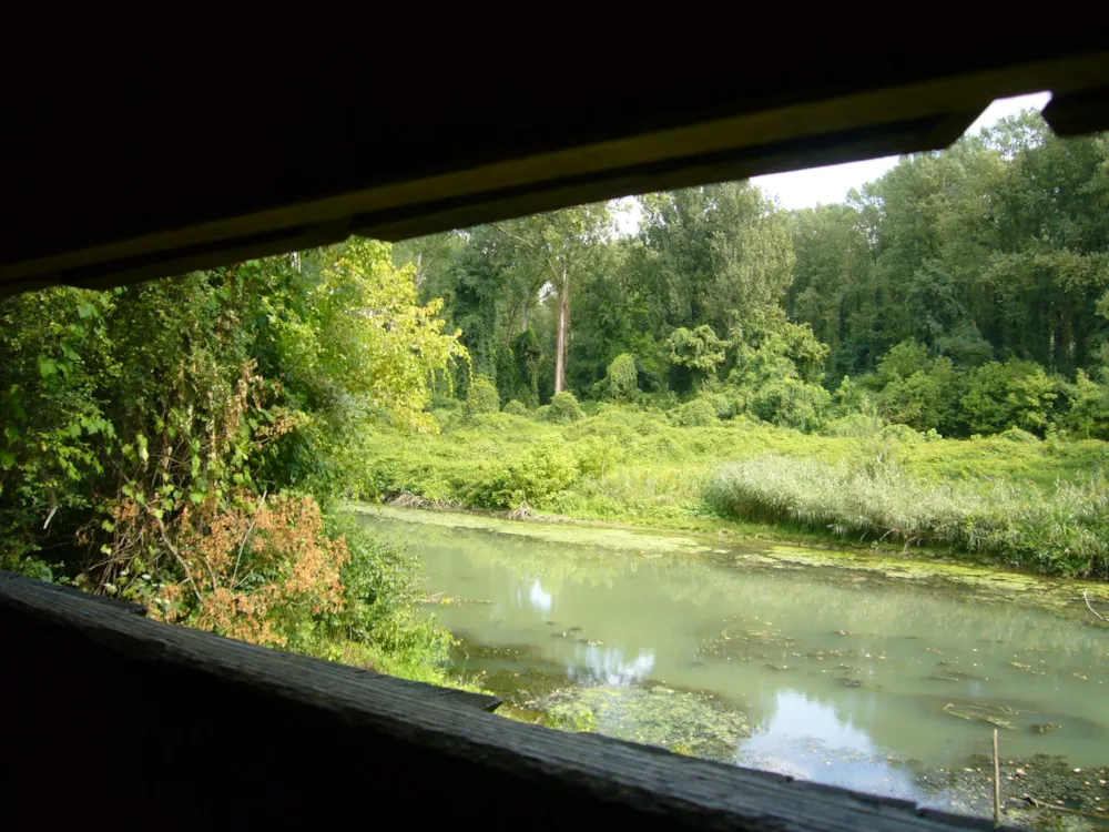 Camping Bel'époque du Pilat