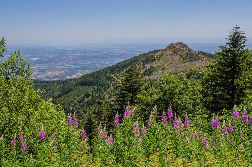 Camping Bel'époque du Pilat