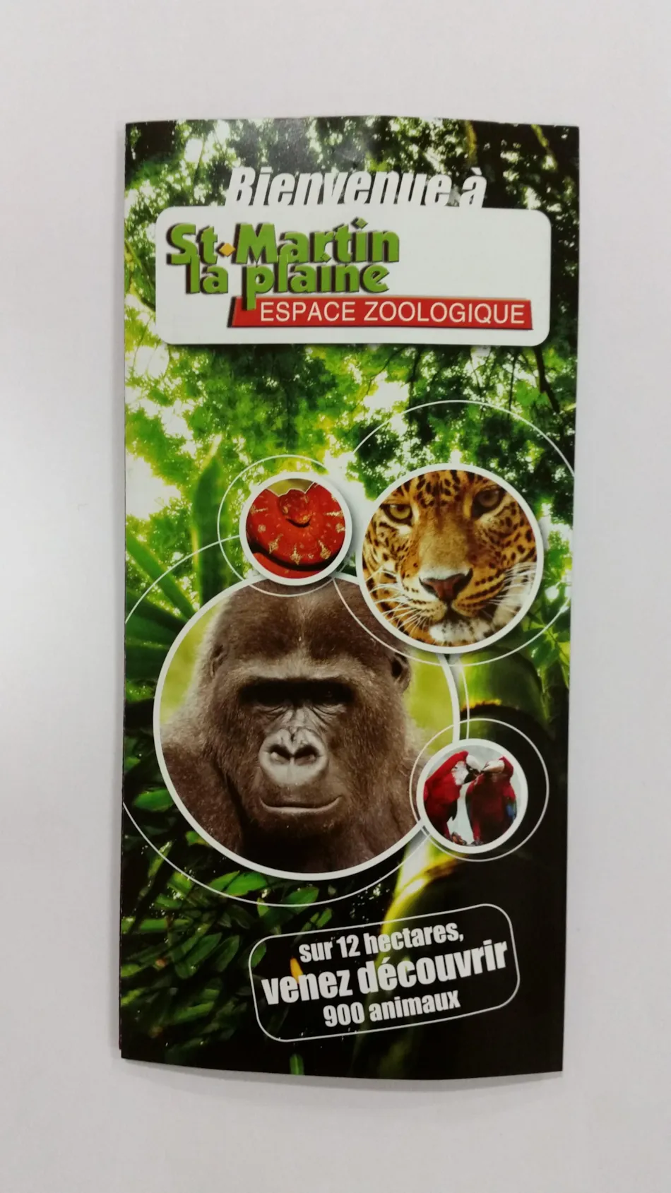 Camping Bel'époque du Pilat