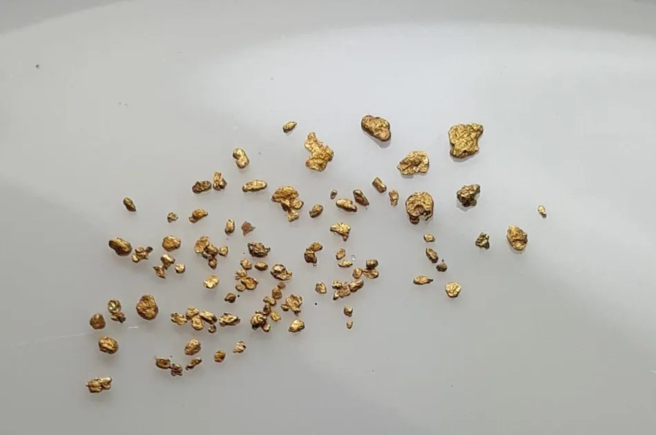 Camping Le Moulin de Serre