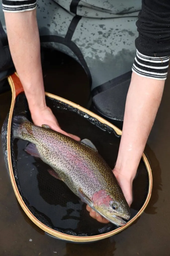 Camping Le Moulin de Serre