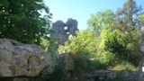 Foto #41 van Domaine des Chênes