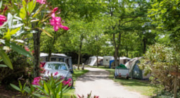 Camping Les Coudoulets - image n°5 - Roulottes