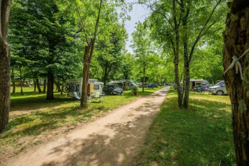Stellplatz - Extra Grosser Stellplatz Xl 120-150 M2,  2 Personen Inklusive Zelt/Wohnwagen, Auto Und Strom - image n°4 - Camping Domaine Arleblanc