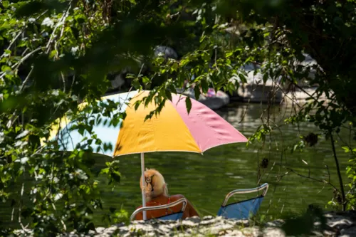 Stellplatz - Extra Grosser Stellplatz (Xl) 120-150M2 Am Fluss, 2 Personen , Auto Und Strom - image n°7 - Camping Domaine Arleblanc