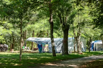 Stellplatz - Stellplatz Standard 2 Personen + Strom + Fahrzeug 90-110M2 - Camping Domaine Arleblanc