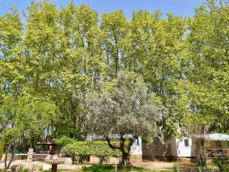 Camping Nostradamus - image n°2 - Camping Direct