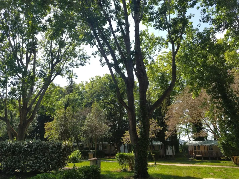 Emplacement Pour Un Randonneur Seul, À Pied Ou En Vélo.