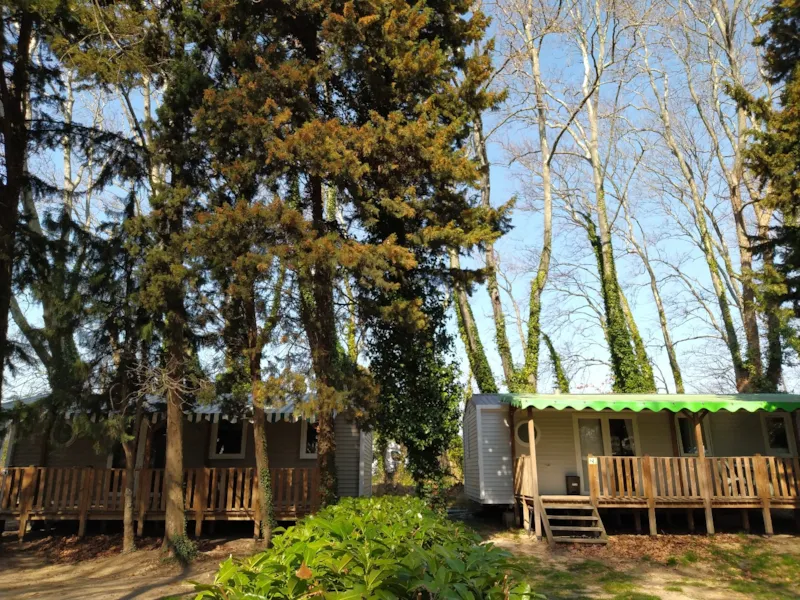 Mobil Home 3 Chambres