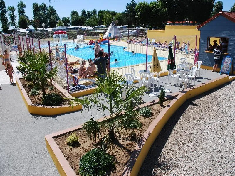 Flower Camping Vitamin