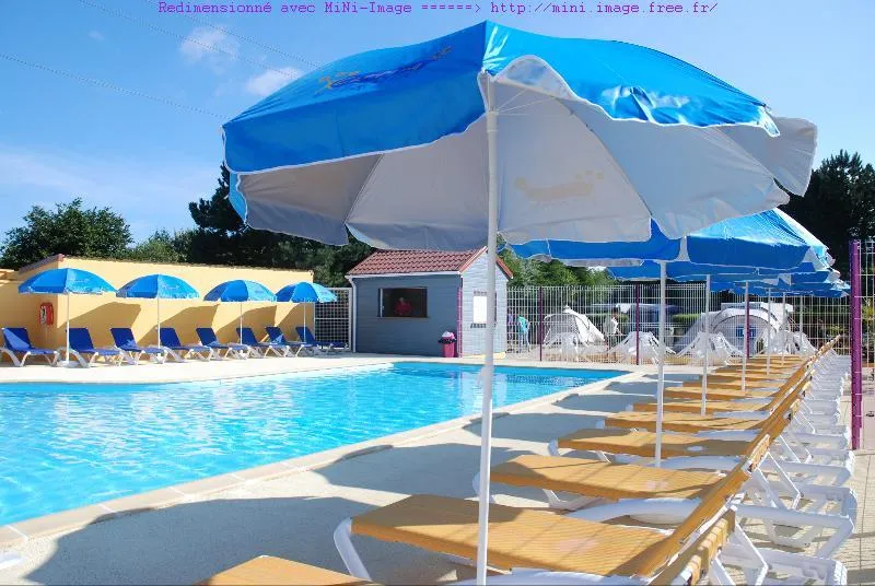 Flower Camping Vitamin