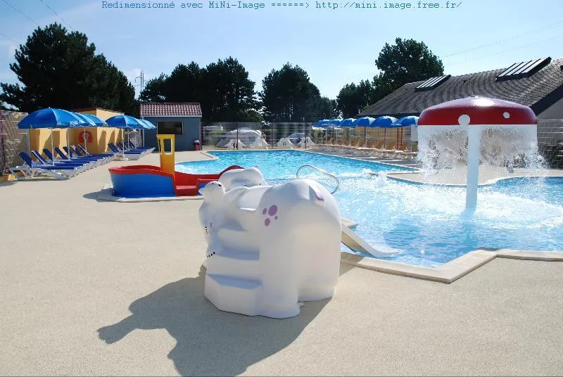 Flower Camping Vitamin